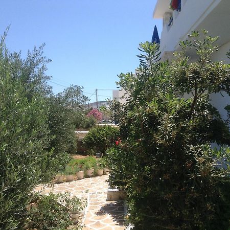 Rania Apartments Antiparos Exterior photo